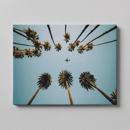 Tela PALMS 60x80cm marca Conforama