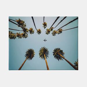 Tela PALMS 60x80cm marca Conforama