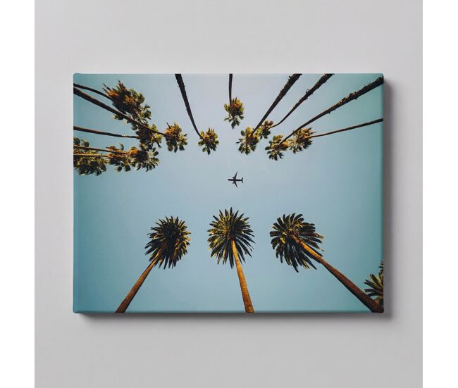 Canvas palms 60x80cm marca conforama - conforama