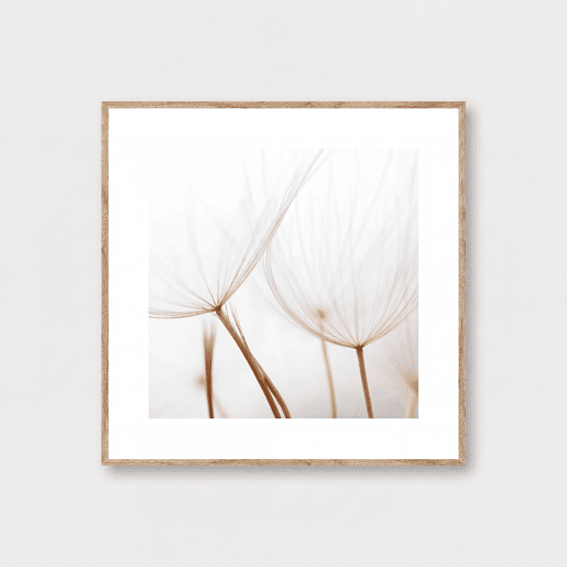 Quadro DIENTE DE LEÓN 35x35cm marca MARCOMUEBLE