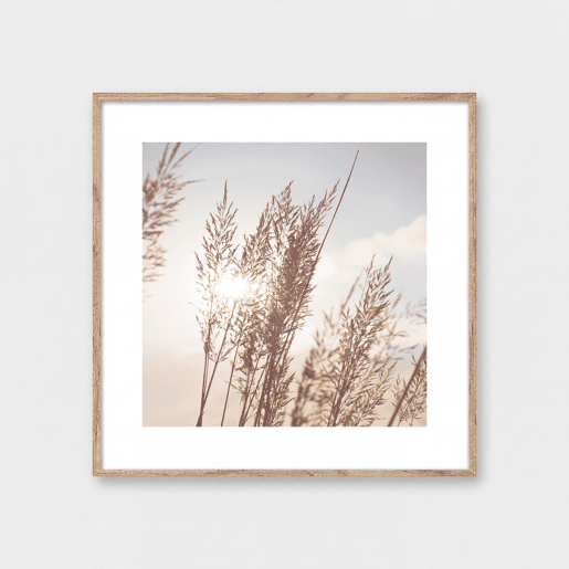 Quadro HOJAS DE TRIGO 35x35cm marca MARCOMUEBLE Quadro HOJAS DE TRIGO 35x35cm marca MARCOMUEBLE