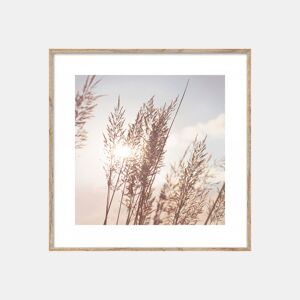 Quadro HOJAS DE TRIGO 35x35cm marca MARCOMUEBLE