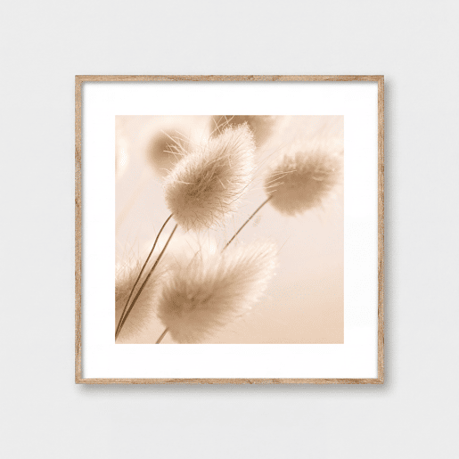 Quadro PLANTA 35x35cm marca MARCOMUEBLE