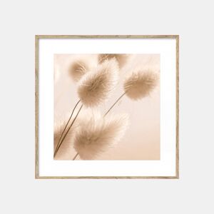 Quadro PLANTA 35x35cm marca MARCOMUEBLE