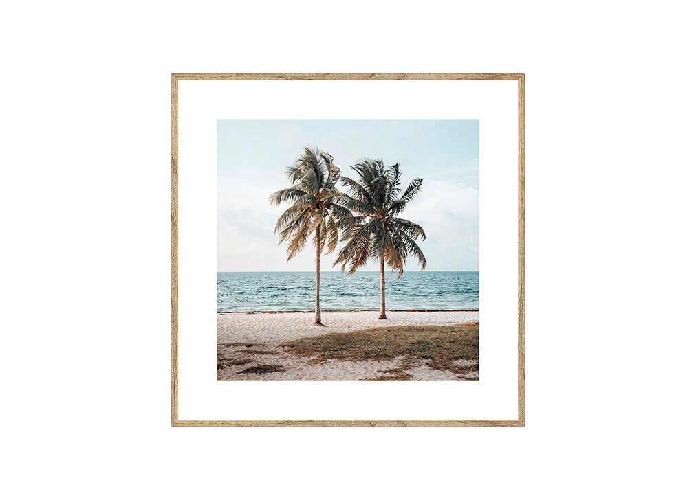 Cuadro PALMERAS 35x35cm marca MARCOMUEBLE 