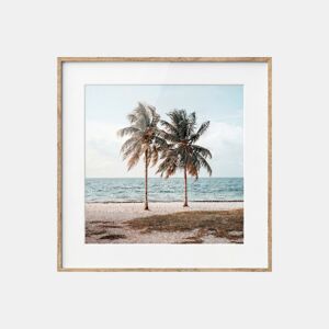 Quadro PALMERAS 35x35cm marca MARCOMUEBLE