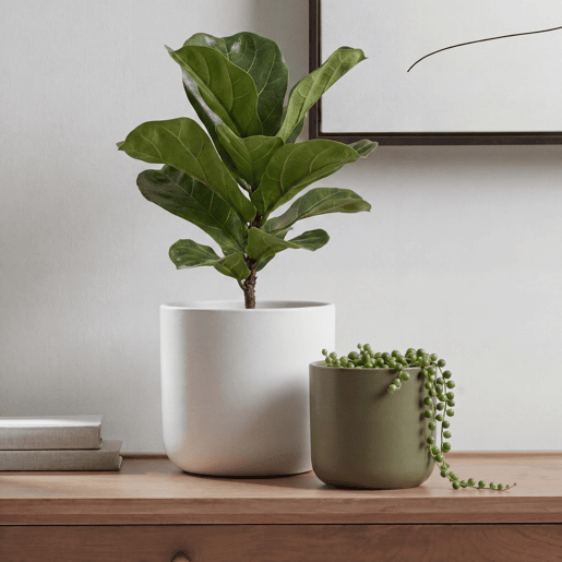 Vaso LISO 12,4cm cores sortidas branco e verde