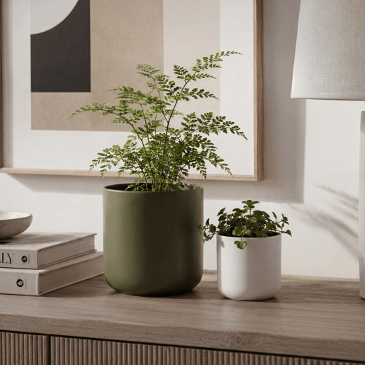 Vaso LISO 18cm cores sortidas branco e verde