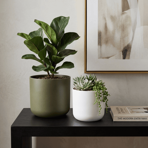 Vaso LISO 24cm cores sortidas branco e verde Vaso LISO 24cm cores sortidas branco e verde