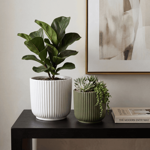 Vaso RAYAS 24cm cores sortidas branco e verde