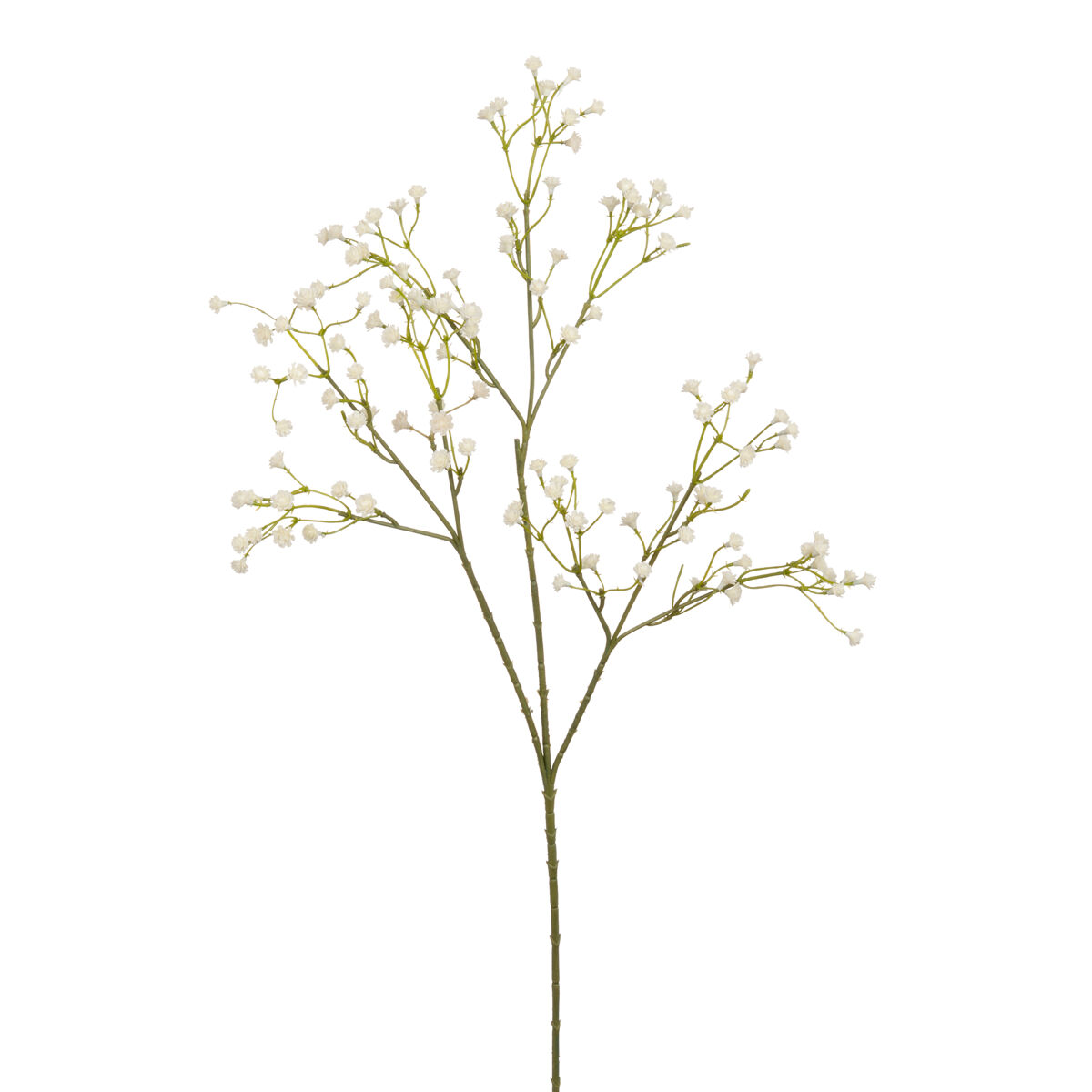 Planta floral GYPSOPHILA 60cm marca CONFORAMA