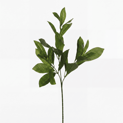 Planta floral LAUREL 58cm marca CONFORAMA