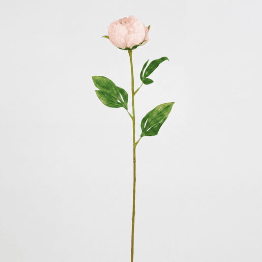 Planta floral PEONY rosa 60cm marca CONFORAMA