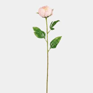 Planta floral PEONY rosa 60cm marca CONFORAMA