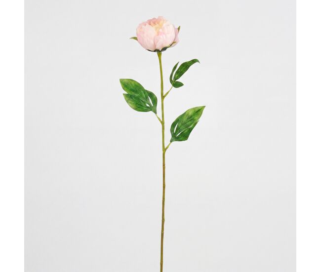 Planta floral peony rosa 60cm marca conforama