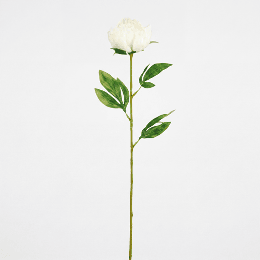 Planta floral PEONY branca 60cm marca CONFORAMA