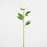 Planta floral PEONY branca 60cm marca CONFORAMA