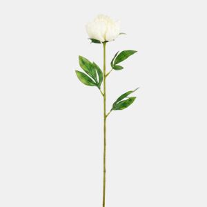 Planta floral PEONY branca 60cm marca CONFORAMA