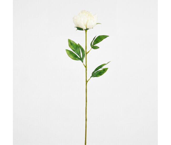 Planta floral peony blanca 60cm marca conforama