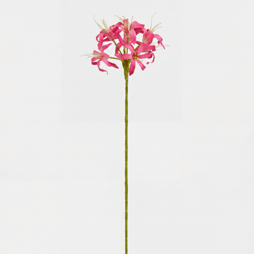 Planta floral NERINE fúcsia 59cm marca CONFORAMA