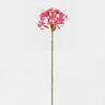 Planta floral NERINE fúcsia 59cm marca CONFORAMA