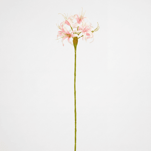 Planta floral NERINE rosa 59cm marca CONFORAMA
