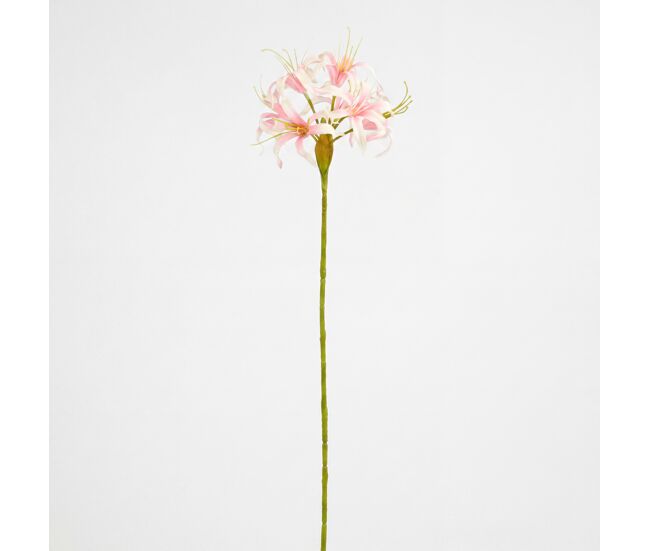 Planta floral nerine rosa 59cm marca conforama