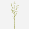 Planta floral DAISY crema 71cm marca CONFORAMA