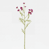 Planta floral DAISY fúcsia 71cm marca CONFORAMA
