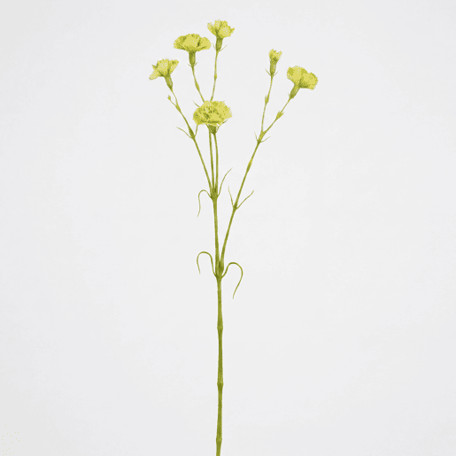 Planta floral CARNATION verde 66cm marca CONFORAMA Planta floral CARNATION verde 66cm marca CONFORAMA