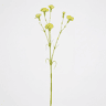 Planta floral CARNATION verde 66cm marca CONFORAMA