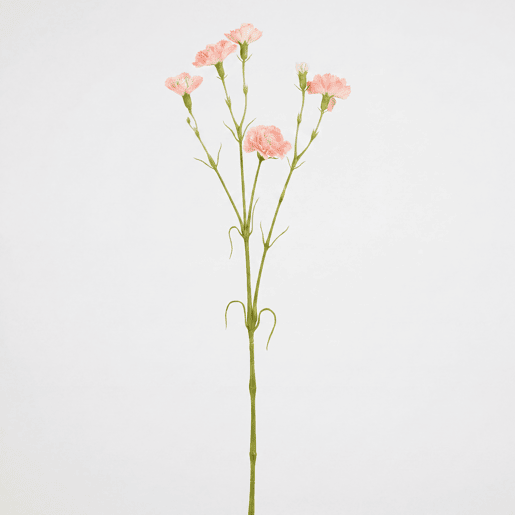 Planta floral CARNATION rosa 66cm marca CONFORAMA