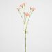 Planta floral CARNATION 66cm marca CONFORAMA Planta floral CARNATION 66cm marca CONFORAMA Rosa