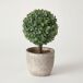 Planta floral LANKA 39cm surtida marca BOLTZE Planta floral LANKA 39cm surtida marca BOLTZE Verde