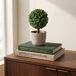 Planta floral LANKA 39cm surtida marca BOLTZE Planta floral LANKA 39cm surtida marca BOLTZE Verde