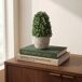 Planta floral LANKA 39cm surtida marca BOLTZE Planta floral LANKA 39cm surtida marca BOLTZE Verde