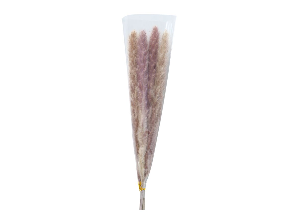 Ramillete floral PAMPA natural 85cm marca BOLTZE 