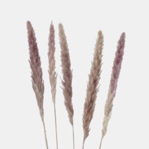 Ramo de flores PAMPA natural 85cm marca BOLTZE