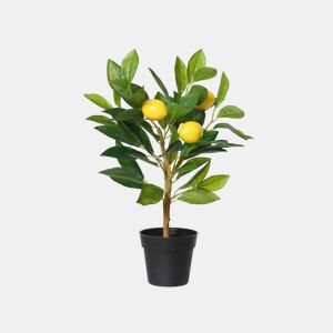 Planta artificial LIMONERO 43cm marca EVERLANDS