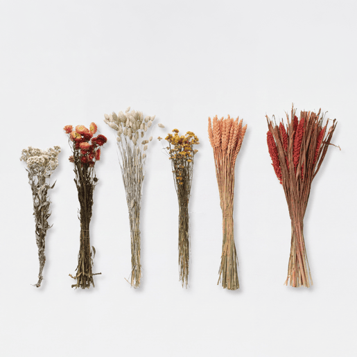 Flores secas AMARANTA sortidos 14cm marca EVERLANDS