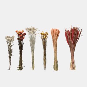 Flores secas AMARANTA sortidos 14cm marca EVERLANDS