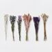 Flores secas VIOLETA surtidos 14cm marca EVERLANDS Flores secas VIOLETA surtidos 14cm marca EVERLANDS Multicolor