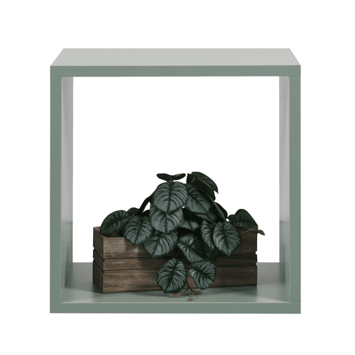 Estante CUBOX 1 compartimento verde