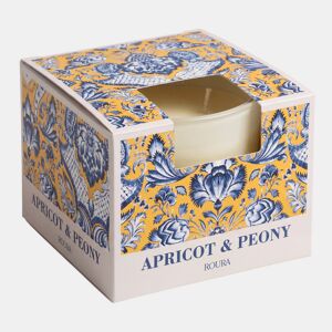 Vela perfumada JAIPUR alperce e peónia 11x8cm