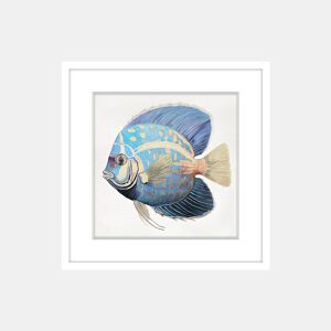 Pintura PEZ TROPICAL 42x42cm marca MARCOMUEBLE