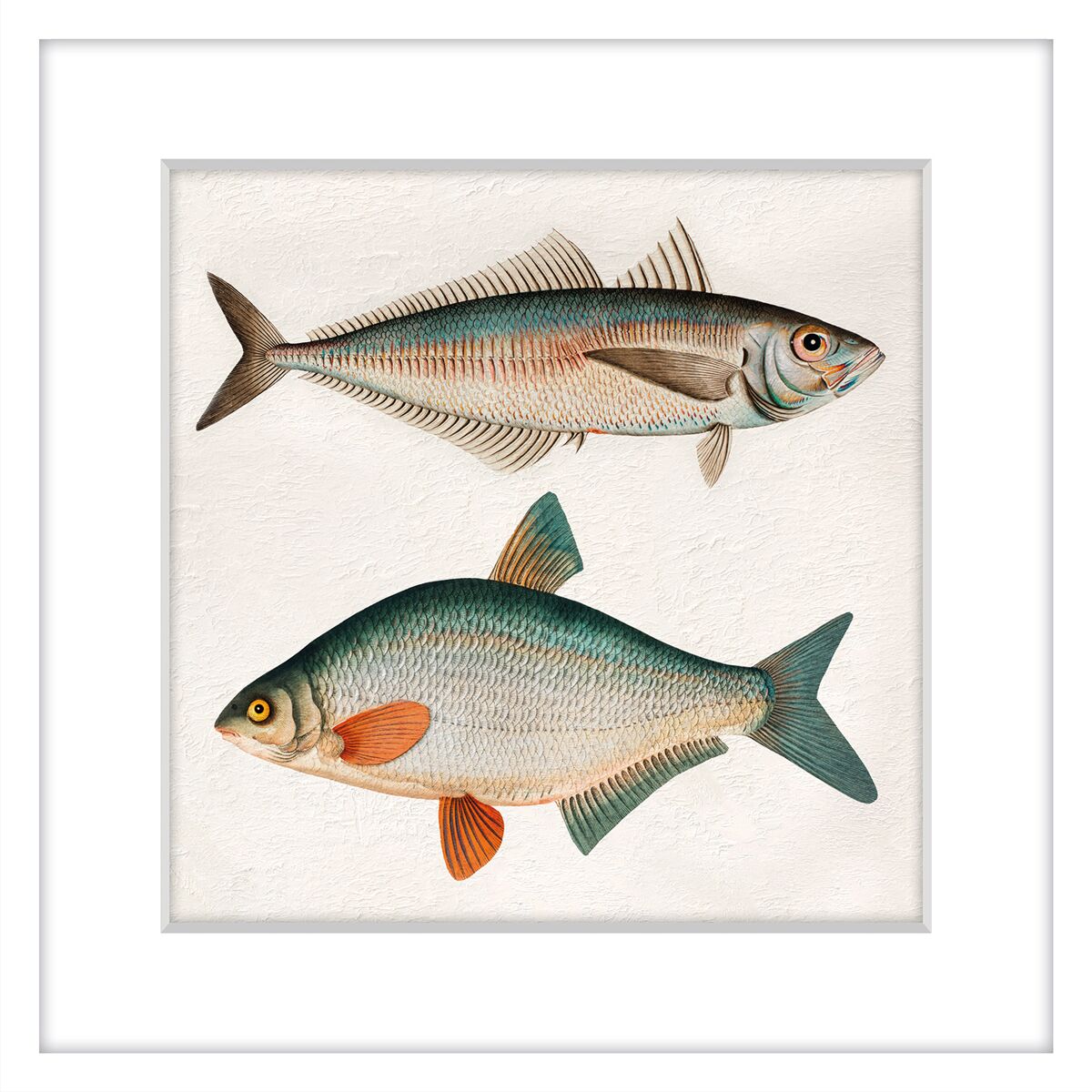Cuadro PECES 42x42cm marca MARCOMUEBLE 