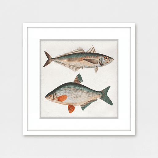 Pintura PECES 42x42cm marca MARCOMUEBLE Pintura PECES 42x42cm marca MARCOMUEBLE