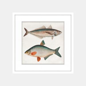 Pintura PECES 42x42cm marca MARCOMUEBLE
