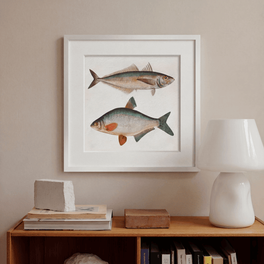 Pintura PECES 42x42cm marca MARCOMUEBLE Pintura PECES 42x42cm marca MARCOMUEBLE