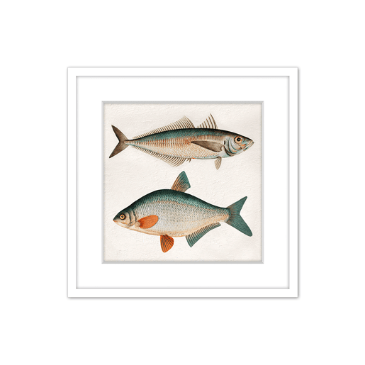 Pintura PECES 42x42cm marca MARCOMUEBLE Pintura PECES 42x42cm marca MARCOMUEBLE